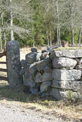 stone wall (autumn)