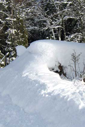 stone wall (winter)