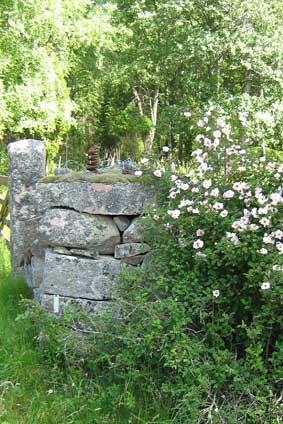 stone wall (summer)