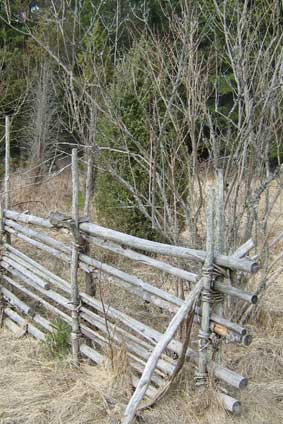 stone wall? (spring)