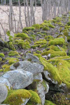 stone wall