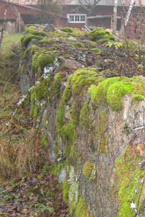 stone wall